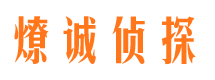 湘东市侦探